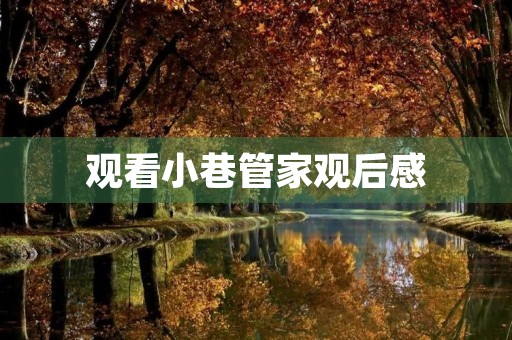 观看小巷管家观后感 观看小巷管家观后感
