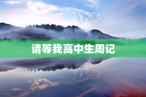 请等我高中生周记 请等我高中生周记