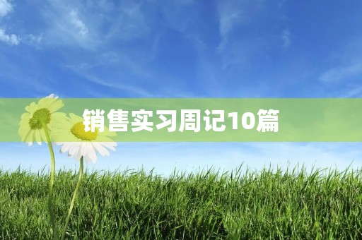 销售实习周记10篇