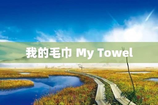 我的毛巾 My Towel 我的毛巾 My Towel
