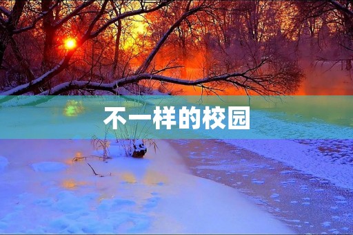 不一样的校园 不一样的校园