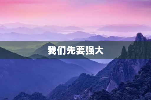 我们先要强大