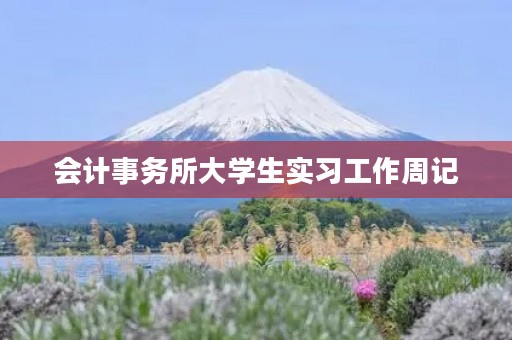会计事务所大学生实习工作周记 会计事务所大学生实习工作周记