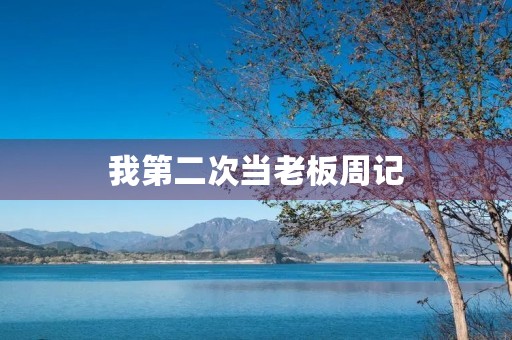 我第二次当老板周记 我第二次当老板周记