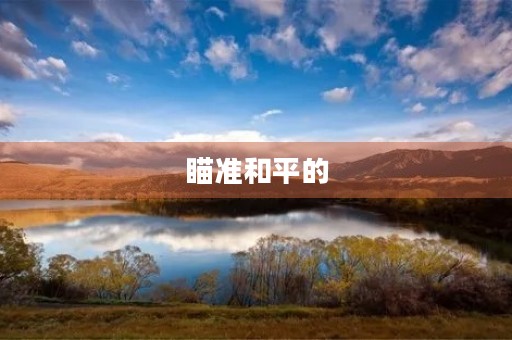 瞄准和平的 瞄准和平的