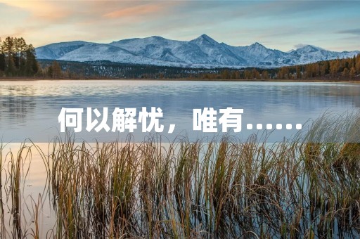何以解忧,唯有…… 何以解忧,唯有……