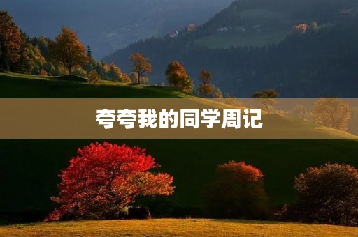 夸夸我的同学周记 夸夸我的同学周记