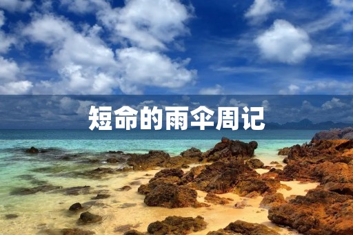 短命的雨伞周记