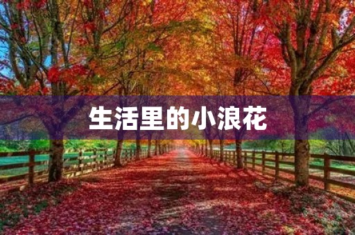 生活里的小浪花