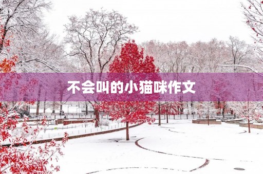 不会叫的小猫咪作文