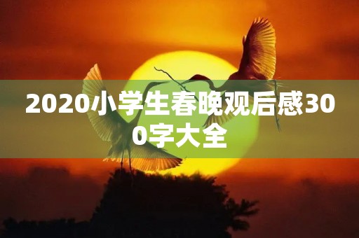 2020小学生春晚观后感300字大全 2020小学生春晚观后感300字大全