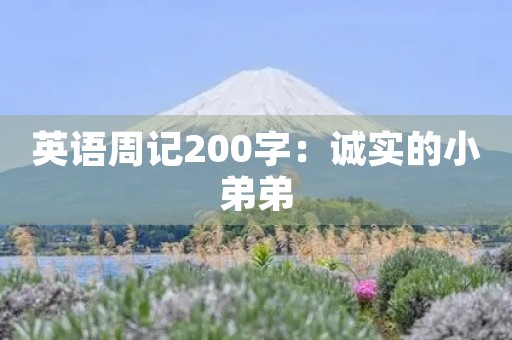 英语周记200字：诚实的小弟弟