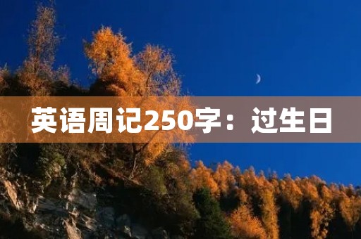 英语周记250字：过生日