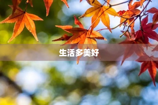 生活多美好 生活多美好