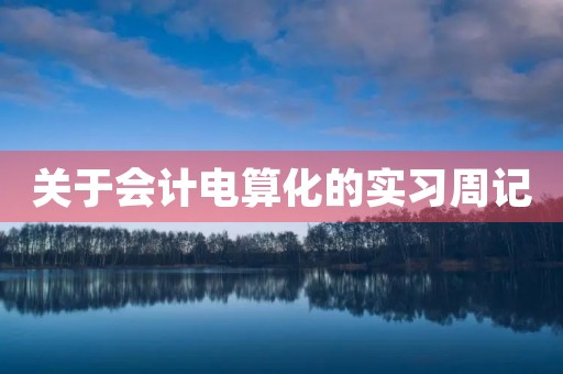 关于会计电算化的实习周记 关于会计电算化的实习周记