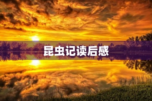 昆虫记读后感 昆虫记读后感
