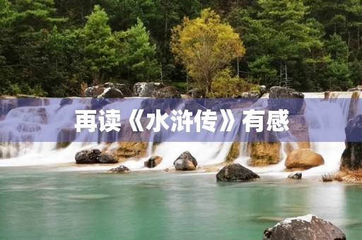 再读《水浒传》有感 再读《水浒传》有感