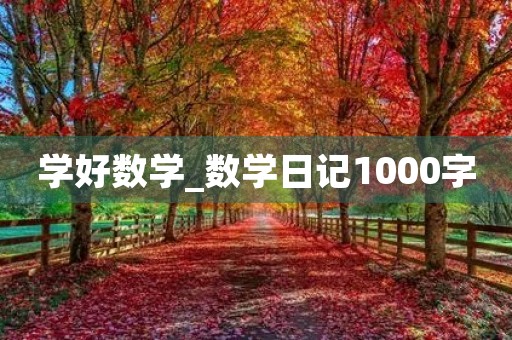 学好数学_数学日记1000字