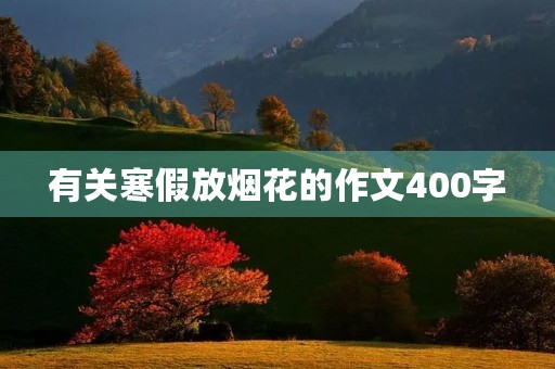 有关寒假放烟花的作文400字
