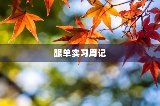 跟单实习周记