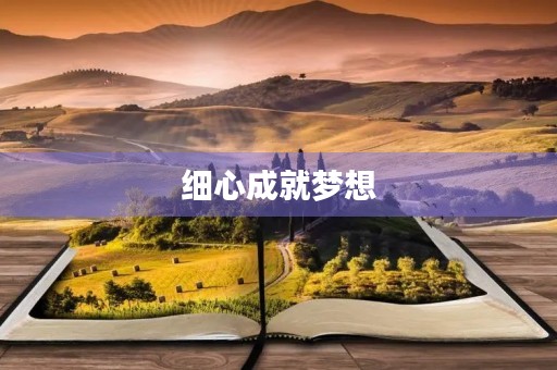 细心成就梦想