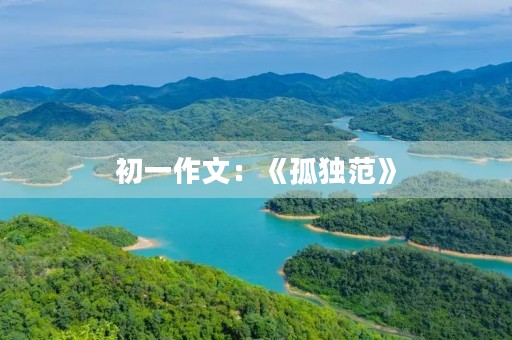 初一作文：《孤独范》