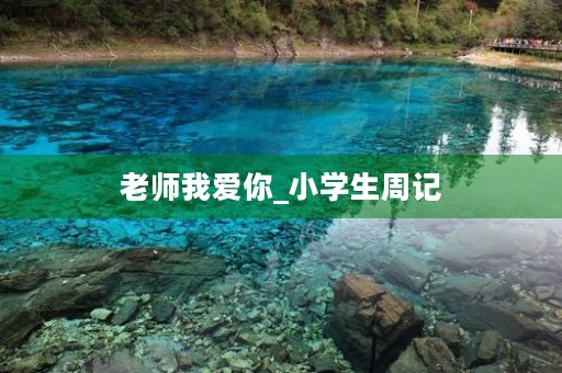老师我爱你_小学生周记 老师我爱你_小学生周记