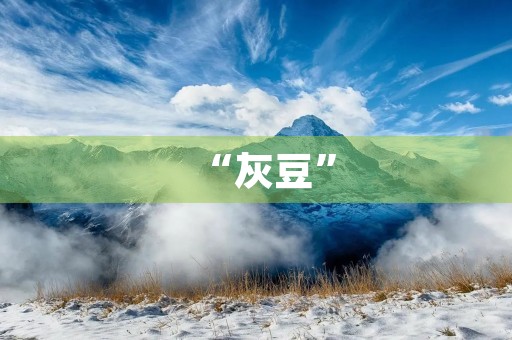“灰豆” “灰豆”