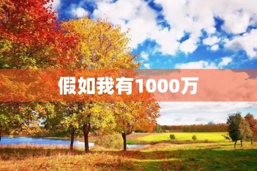 假如我有1000万 假如我有1000万