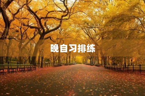 晚自习排练 晚自习排练