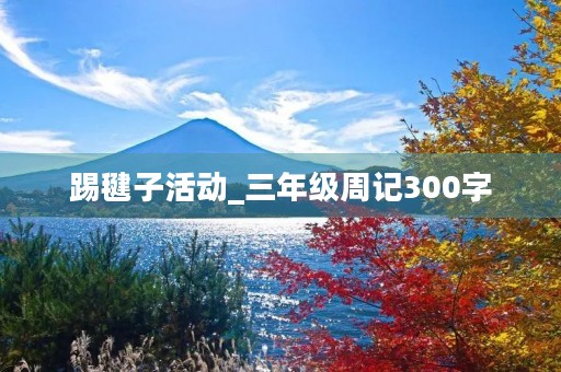 踢毽子活动_三年级周记300字 踢毽子活动_三年级周记300字