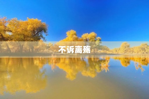 不诉离殇