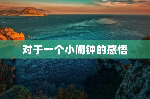 对于一个小闹钟的感悟 对于一个小闹钟的感悟