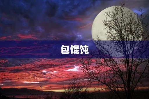 包馄饨 包馄饨