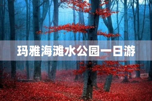 玛雅海滩水公园一日游