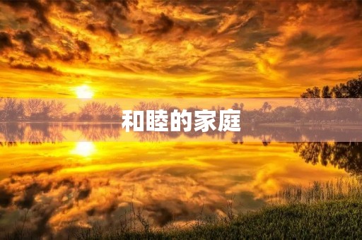 和睦的家庭 和睦的家庭