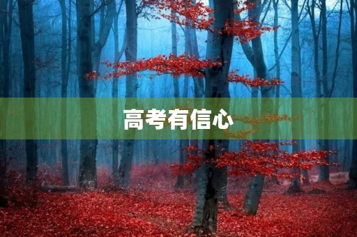 高考有信心 高考有信心