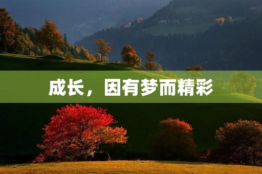 成长,因有梦而精彩 成长,因有梦而精彩