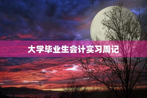 大学毕业生会计实习周记 大学毕业生会计实习周记