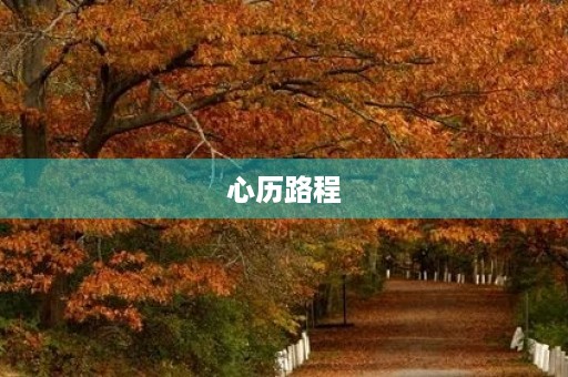 心历路程 心历路程