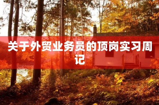 关于外贸业务员的顶岗实习周记 关于外贸业务员的顶岗实习周记