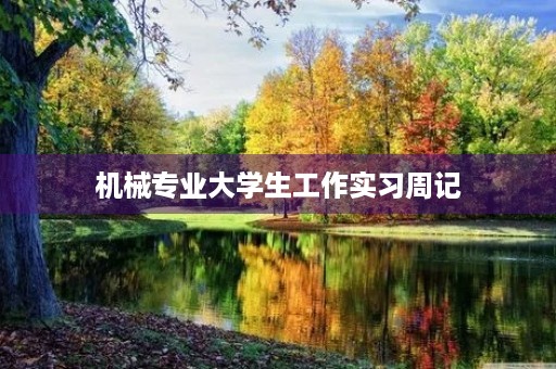机械专业大学生工作实习周记