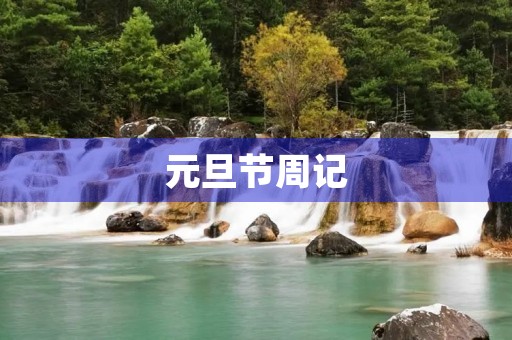 元旦节周记 元旦节周记