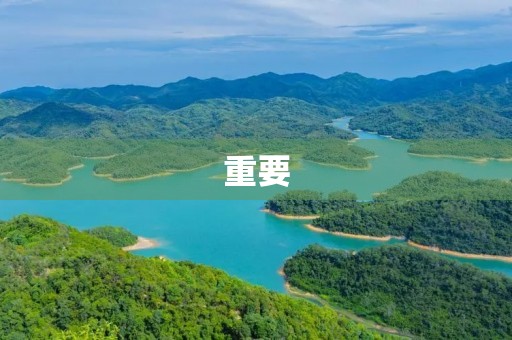 重要