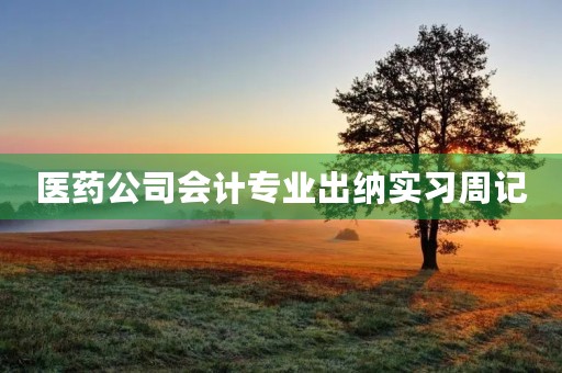 医药公司会计专业出纳实习周记 医药公司会计专业出纳实习周记