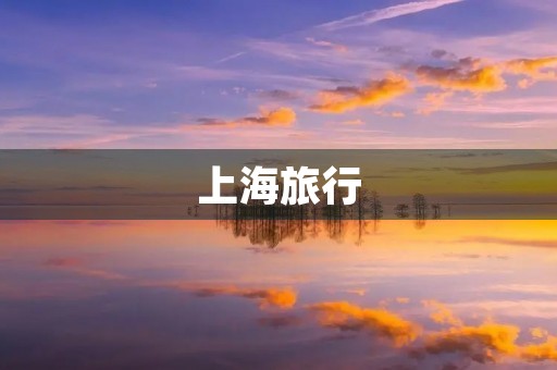 上海旅行 上海旅行