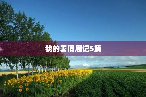 我的暑假周记5篇 我的暑假周记5篇