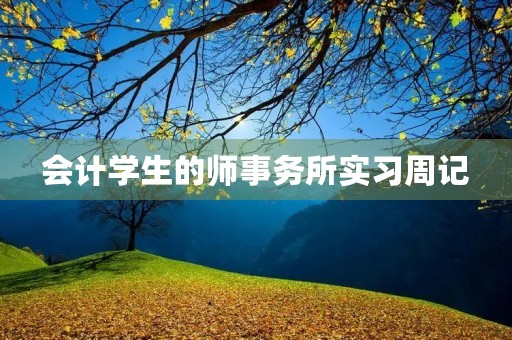 会计学生的师事务所实习周记