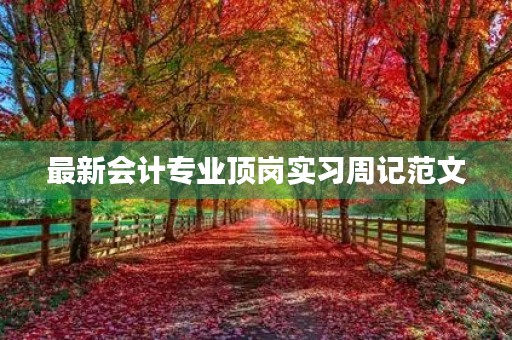 最新会计专业顶岗实习周记范文