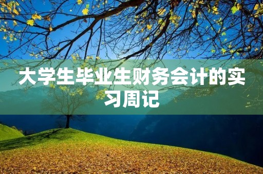 大学生毕业生财务会计的实习周记